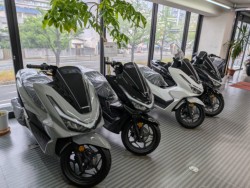�z���_�f�B�I110�i���Q�����R�s�j�摜17