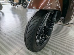 �z���_�W�����m�i���Q�����R�s�j�摜10