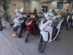 �z���_Cross Cub 110 Lite�i���Q�����R�s�j�摜13