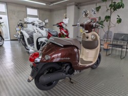 �z���_�W�����m�i���Q�����R�s�j�摜8