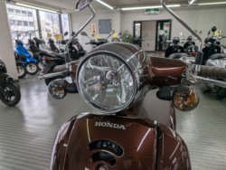 �z���_�W�����m�i���Q�����R�s�j�摜9