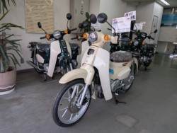 �z���_&nbsp;Super Cub 110 Lite 