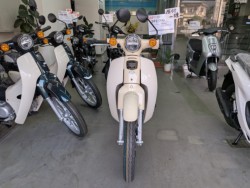 �z���_Super Cub 110 Lite�i���Q�����R�s�j�摜2