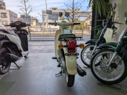 �z���_Super Cub 110 Lite�i���Q�����R�s�j�摜5