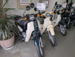 �z���_Cross Cub 110 Lite�i���Q�����R�s�j�摜17