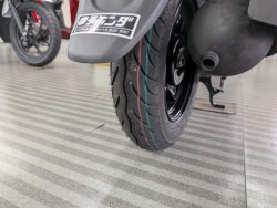 �z���_�W�����m�i���Q�����R�s�j�摜19