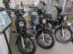 �z���_�x�����C50�i���Q�����R�s�j�摜10