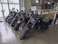 ホンダレブル250(愛媛県松山市)画像9