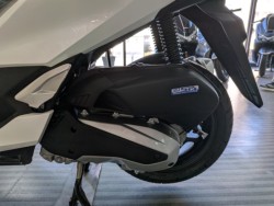 �z���_PCX�i���Q�����R�s�j�摜20