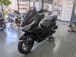 �z���_PCX�i���Q�����R�s�j�摜4