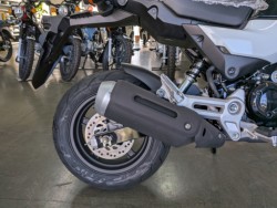 �z���_�O�����i���Q�����R�s�j�摜17