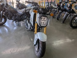 �z���_�O�����i���Q�����R�s�j�摜3