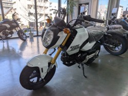 �z���_�O�����i���Q�����R�s�j�摜4