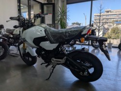 �z���_�O�����i���Q�����R�s�j�摜6