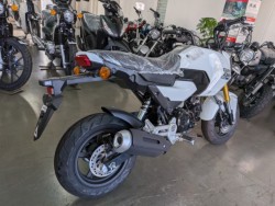 �z���_�O�����i���Q�����R�s�j�摜8