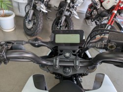 �z���_�O�����i���Q�����R�s�j�摜11