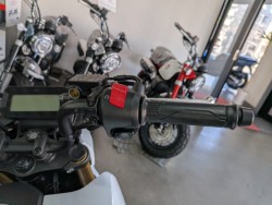 �z���_�O�����i���Q�����R�s�j�摜13