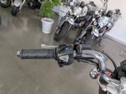 �z���_�����L�[125�i���Q�����R�s�j�摜12