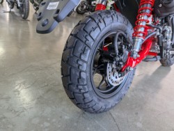 �z���_�����L�[125�i���Q�����R�s�j�摜18