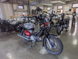 �z���_�N���X�J�u110�i���Q�����R�s�j�摜2