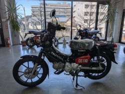 �z���_�N���X�J�u110�i���Q�����R�s�j�摜5