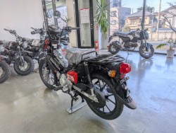 �z���_�N���X�J�u110�i���Q�����R�s�j�摜6