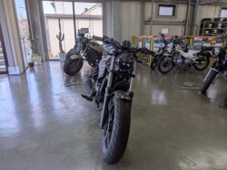 �z���_���u��250�i���Q�����R�s�j�摜3