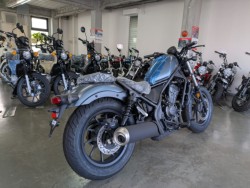 �z���_���u��250�i���Q�����R�s�j�摜8