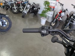 �z���_���u��250�i���Q�����R�s�j�摜12