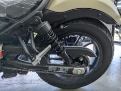 �z���_���u��250�i���Q�����R�s�j�摜20