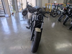 �z���_���u��250�i���Q�����R�s�j�摜3