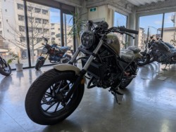 �z���_���u��250�i���Q�����R�s�j�摜4