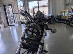 �z���_���u��250�i���Q�����R�s�j�摜9