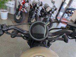 �z���_���u��250�i���Q�����R�s�j�摜11