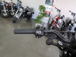 �z���_���u��250�i���Q�����R�s�j�摜12