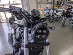 �z���_���u��250�i���Q�����R�s�j�摜9