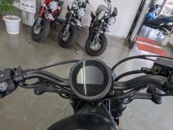 �z���_���u��250�i���Q�����R�s�j�摜11