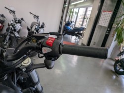 �z���_���u��250�i���Q�����R�s�j�摜13