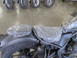 �z���_���u��250�i���Q�����R�s�j�摜15