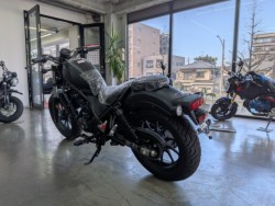 �z���_���u��250�i���Q�����R�s�j�摜6