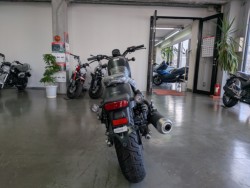 �z���_���u��250�i���Q�����R�s�j�摜7