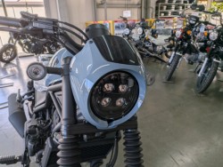 �z���_���u��250�i���Q�����R�s�j�摜9