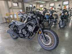 �z���_���u��250�i���Q�����R�s�j�摜2