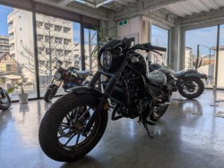 �z���_���u��250�i���Q�����R�s�j�摜4