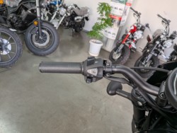 �z���_���u��250�i���Q�����R�s�j�摜12