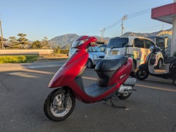 �z���_�f�B�I�i���Q�������s�j�摜2