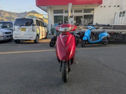 �z���_�f�B�I�i���Q�������s�j�摜3