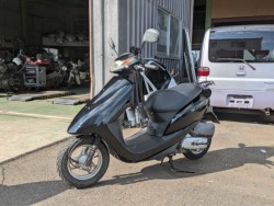 �z���_�f�B�I�i���Q�������s�j�摜2