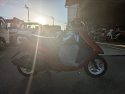 �z���_�f�B�I�i���Q�������s�j�摜5