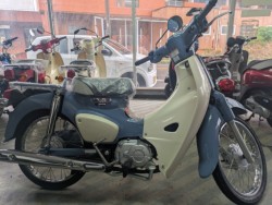 �z���_�X�[�p�[�J�u50�iAA09�j�i���Q�������s�j�摜3